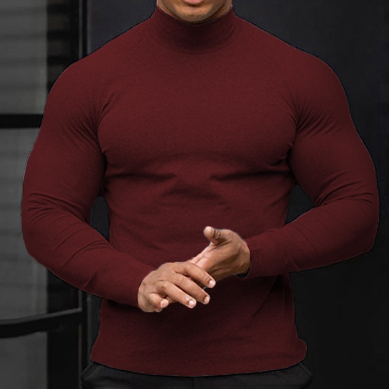 Men's T Shirt Turtleneck shirt Long Sleeve Shirt Long Sleeve Rolled collar Spring &  Fall Holiday Casual Comfortable Essential Vacation Holiday Weekend Black White Wine Top Tee for Men 2025 - $18.99 –P5
