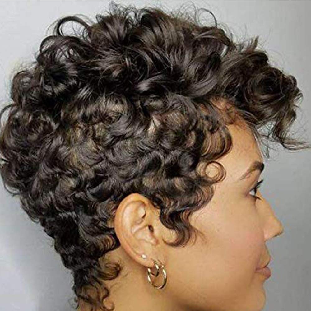 capelli corti parrucche di capelli ricci neri per donne nere parrucche corte sintetiche per donne nere parrucche per donne afroamericane del 2025 a $26.99 –P2