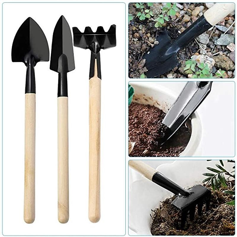 outils succulents, mini ensemble d'outils de jardin, ensemble d'outils de repiquage, kit de soins succulents pour plante de jardinage miniature succulente, multi, 12 pcs de 2025 ? $8.99 –P1
