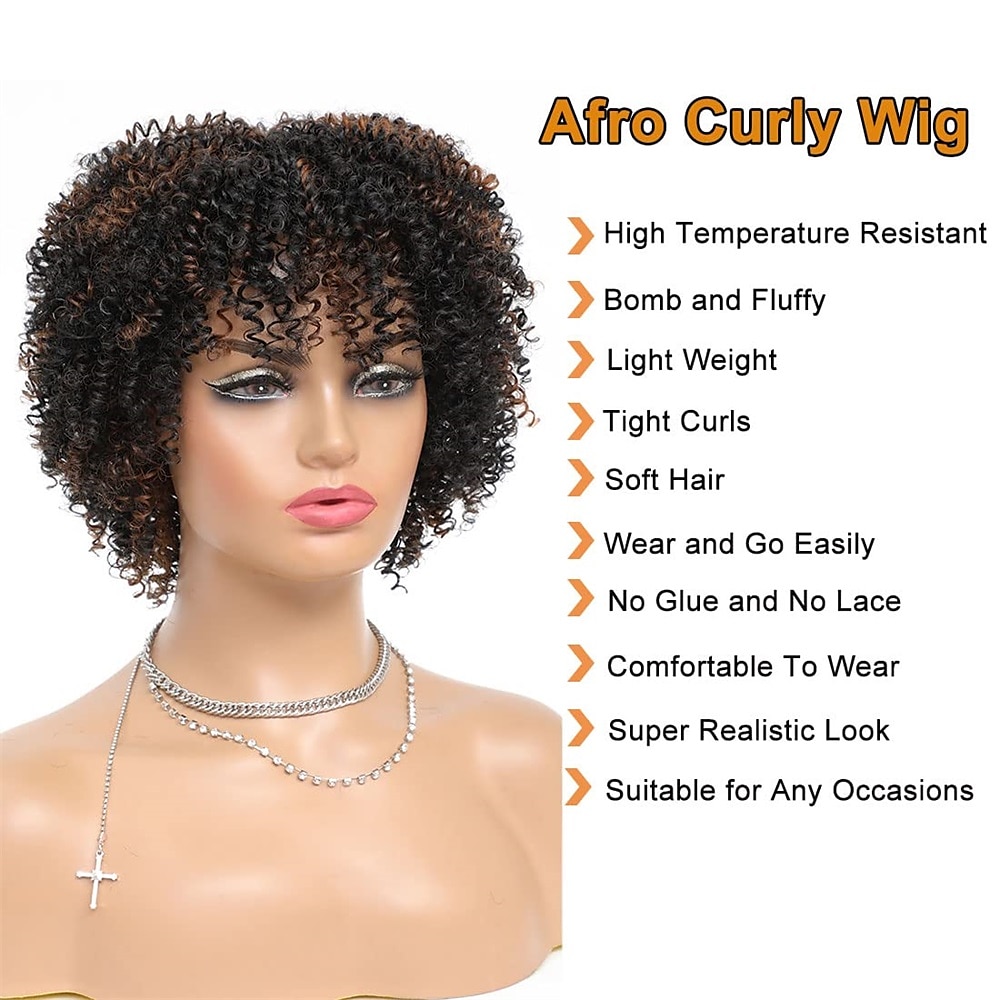 Short Curly Afro Wig with Bangs Afro Kinky Curly Wigs for Black Women No Glue Synthetic Full Wig Heat Resistant Soft Curly Replacement Wigs 2025 - $31.99 –P3