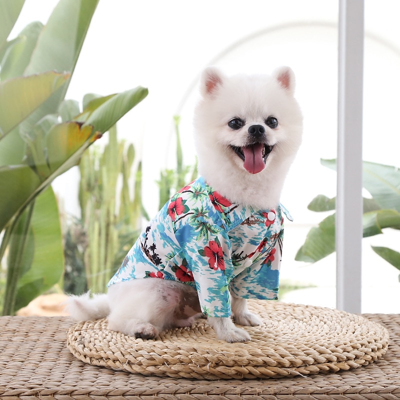Dog Cat T-shirts Fashion Cute Basic Soft Washable Comfortable Outdoor Casual Daily Walking Dog Clothing for Bichon Frise Pomeranian Baby Pet Papillon Small 2025 - $12.49 –P10