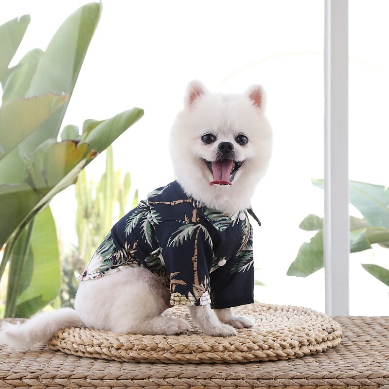 Dog Cat T-shirts Fashion Cute Basic Soft Washable Comfortable Outdoor Casual Daily Walking Dog Clothing for Bichon Frise Pomeranian Baby Pet Papillon Small 2025 - $12.49 –P7