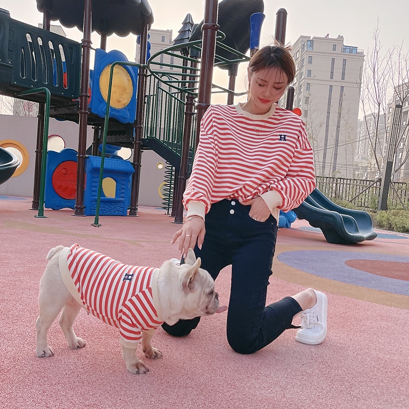 Chien Chat Sweat-shirt Tenues assorties Décontractées Style Simple Doux Lavable Confortable Extérieur Casual Quotidien Vêtements pour chiens for Bichon Frisé Loulou de Poméranie Bébé Animal Papillon de 2025 ? $35.99 –P2