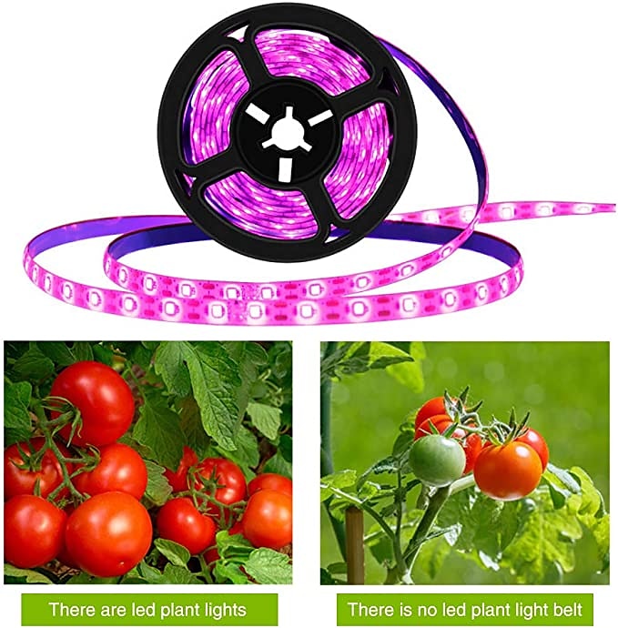 Plant Grow Light LED Strip USB Full Spectrum DC 5V 0.5-3m Phyto Lamp for Vegetable Flower Seedling Grow Tent Box Waterproof 2026 - $8.99 –P3