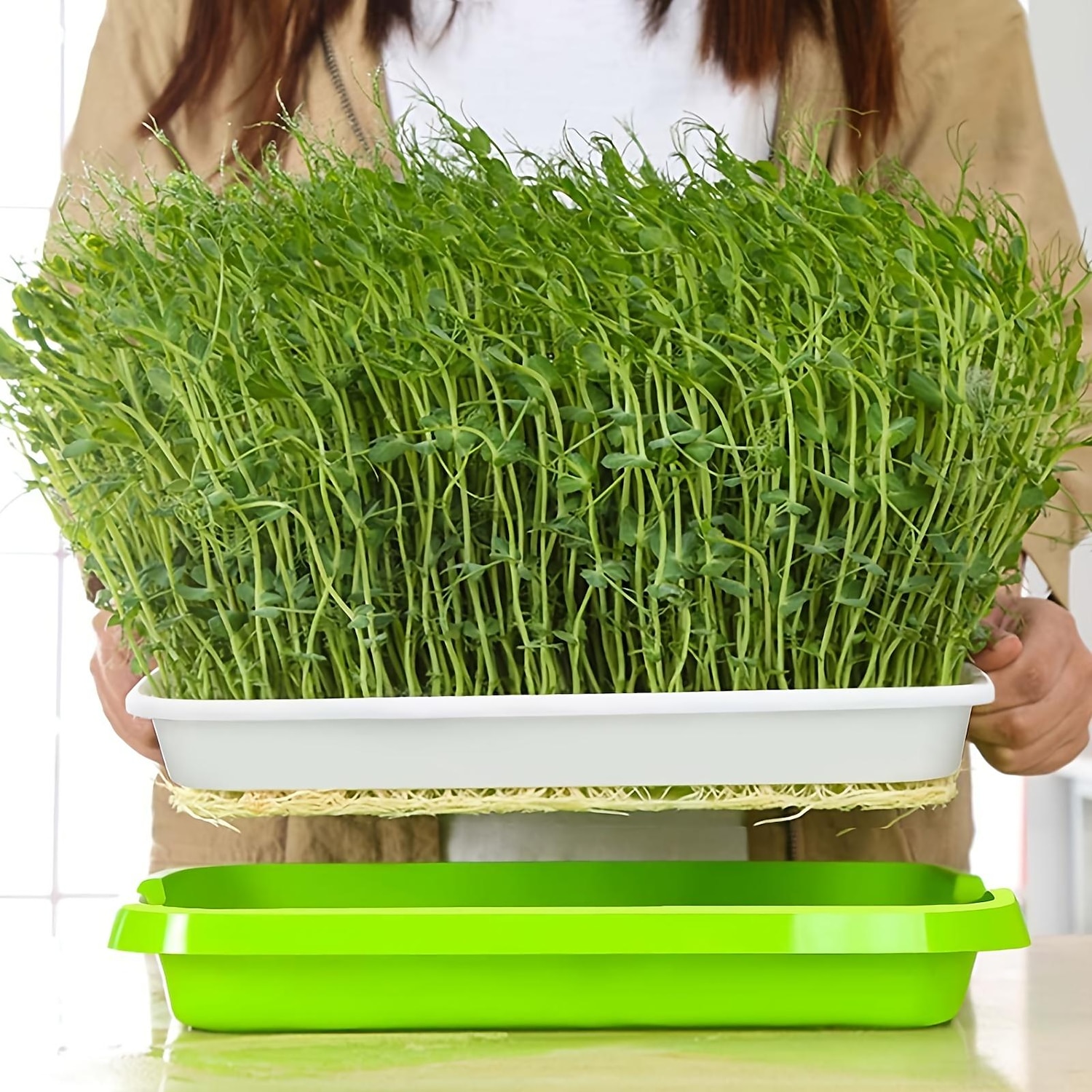 vassoio per germogli di semi, senza bpa pp senza suolo grande capacità kit contenitore per germinazione coltivatore di erba di grano sano per giardino home office del 2025 a $10.99 –P3