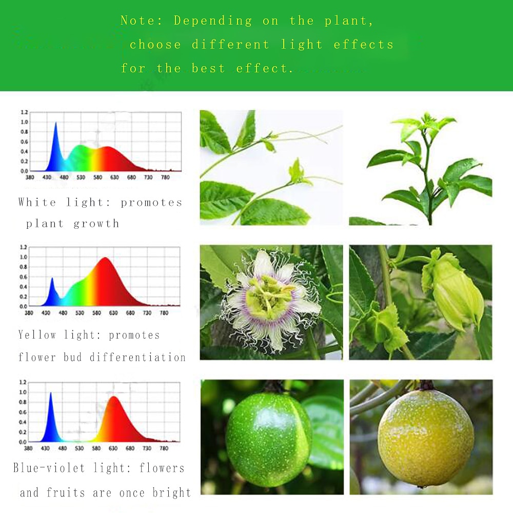 LED Grow Light for Indoor Plants E27 15W 48LED Beads Full Spectrum Fixture White Purple 220-240 V Vegetable Greenhouse 2025 - $12.99 –P6