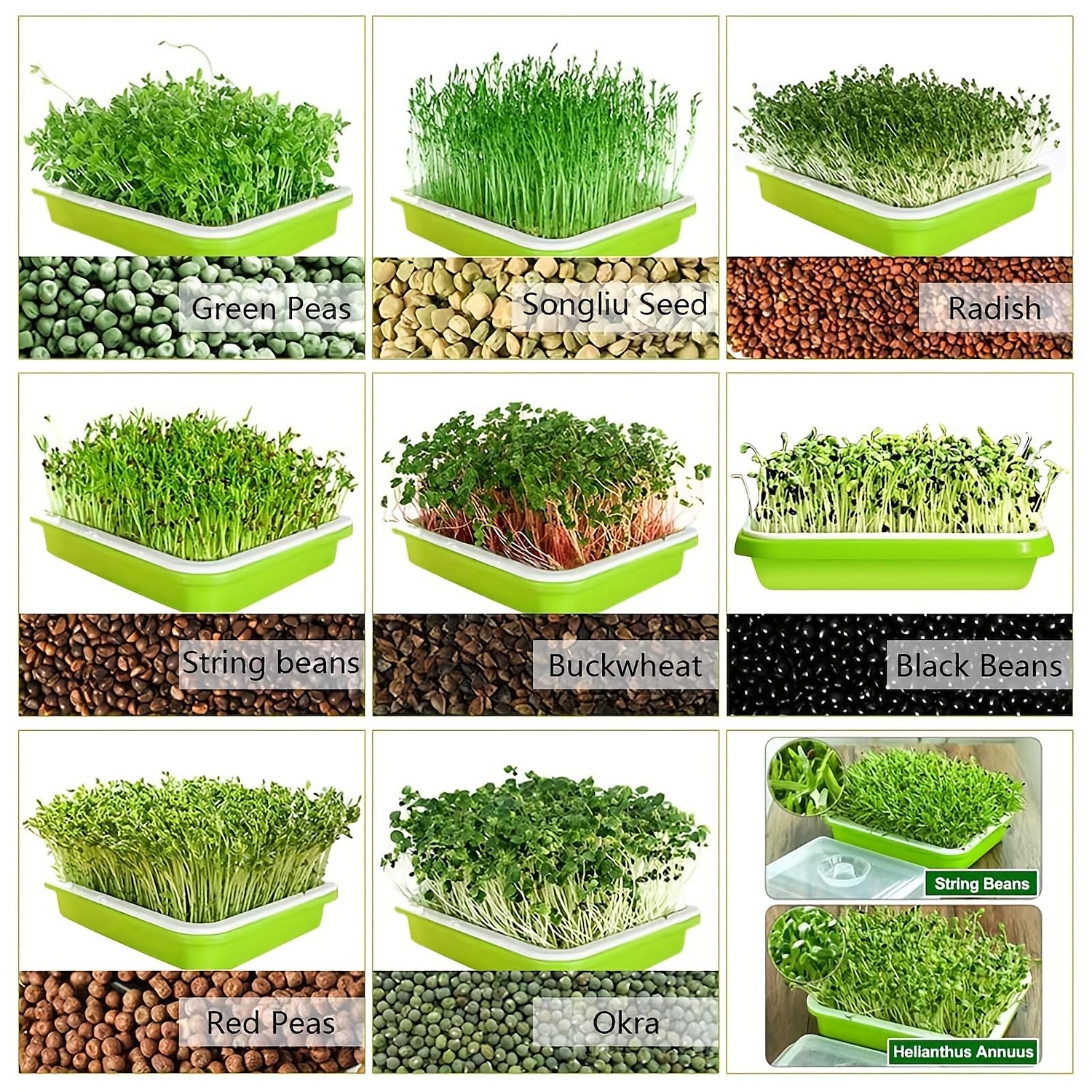 vassoio per germogli di semi, senza bpa pp senza suolo grande capacità kit contenitore per germinazione coltivatore di erba di grano sano per giardino home office del 2025 a $10.99 –P5