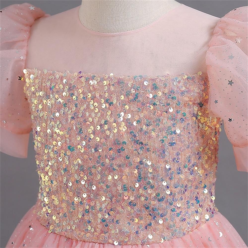 Lapset Tyttöjen Kukkatyttömekko Juhlamekko Yhtenäinen väri Kukka Lyhythihainen Suoritus Häät Juhla Paljetti Tyylikäs Prinsessa Polyesteri Maxi Vaaleanpunainen prinsessa mekko Tyllimekko Kesä Kevät 2025 - $62.99 –P3