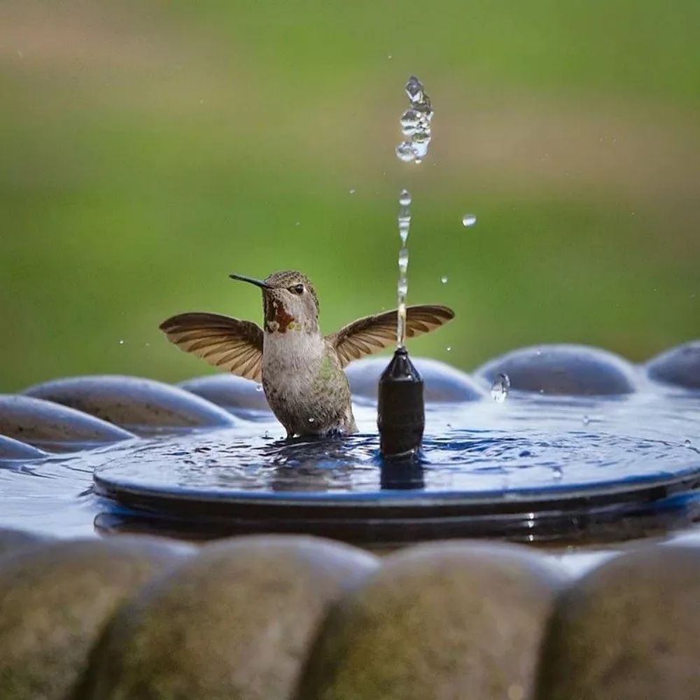 Round Solar Fountain Outdoor Landscape Pool Pond Water Pump Waterfall Decor Black 2025 - $22.99 –P7