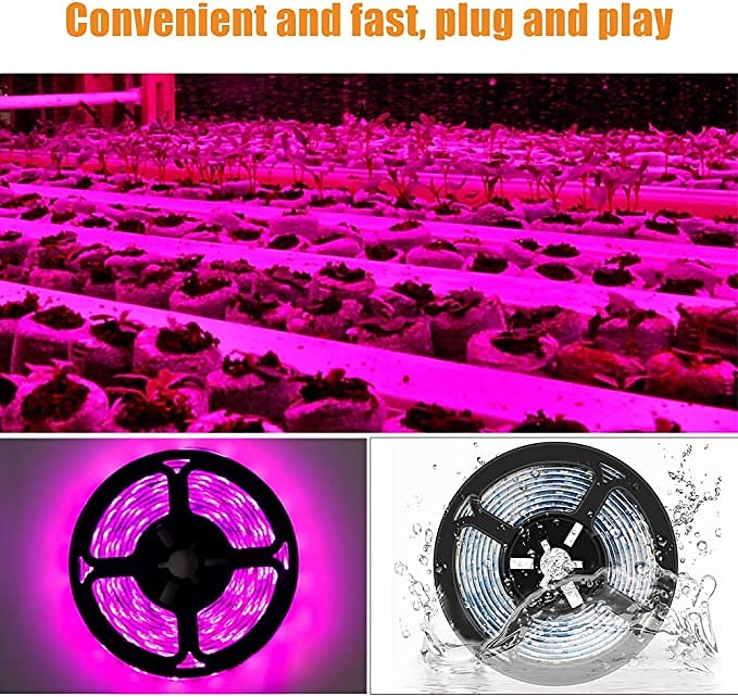 Plant Grow Light LED Strip USB Full Spectrum DC 5V 0.5-3m Phyto Lamp for Vegetable Flower Seedling Grow Tent Box Waterproof 2026 - $8.99 –P5