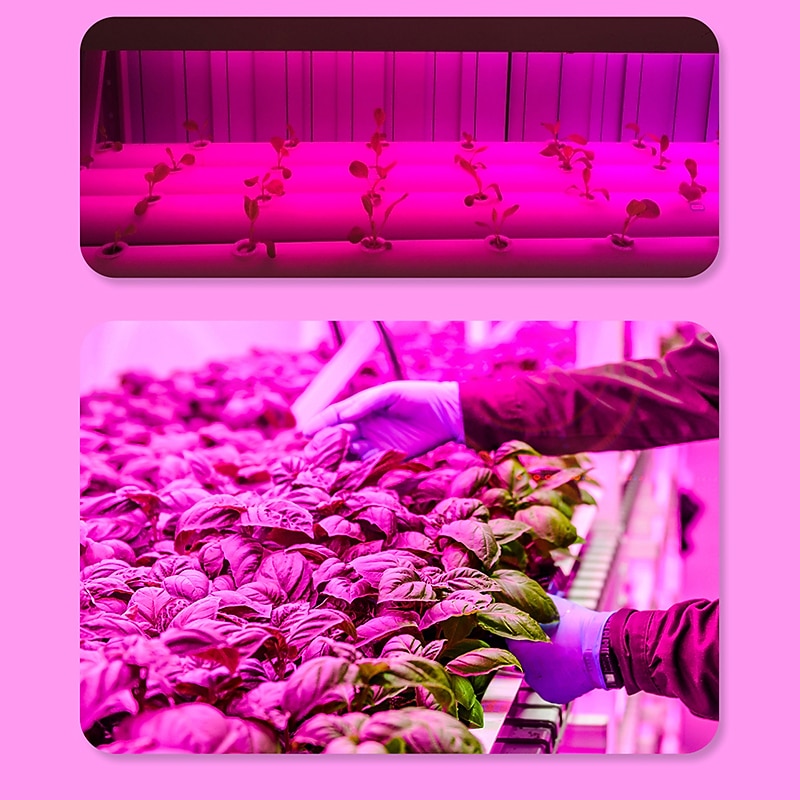led élèvent des ampoules 9w spectre complet 300lm b22 e26/e27 a70 18 led perles rose de 2026 ? $14.49 –P2