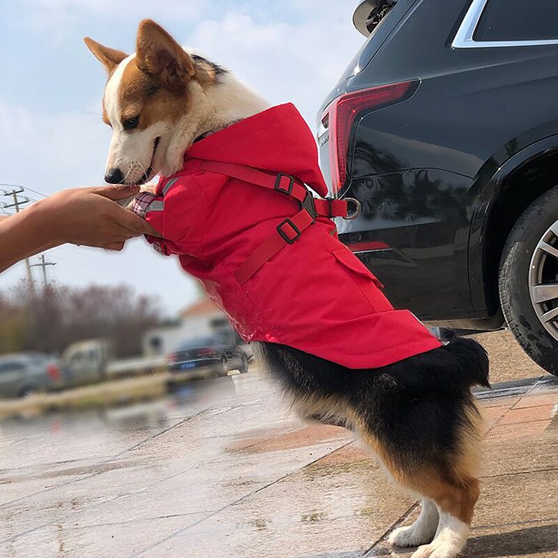 Dog Cat Rain Coat Rain Jacket Fashion Cute Winter Reflective Waterproof Comfortable Outdoor Casual Daily Dog Clothing for Corgi Pomeranian Baby Pet Papillon Small 2025 - $25.99 –P7