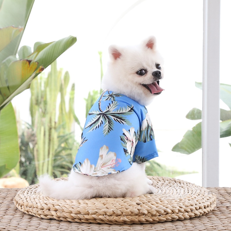 Dog Cat T-shirts Fashion Cute Basic Soft Washable Comfortable Outdoor Casual Daily Walking Dog Clothing for Bichon Frise Pomeranian Baby Pet Papillon Small 2025 - $12.49 –P8