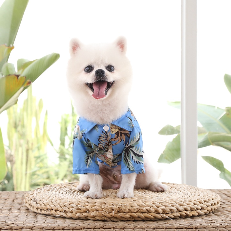 Dog Cat T-shirts Fashion Cute Basic Soft Washable Comfortable Outdoor Casual Daily Walking Dog Clothing for Bichon Frise Pomeranian Baby Pet Papillon Small 2025 - $12.49 –P9