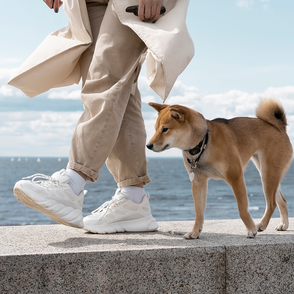 2025年 1600ft ペット犬用トレーニング首輪 防水充電式リモコン 3 モード ビープ音 振動 衝撃 9 レベル調整可能なキーパッド ロック タイプ c ポート  コレクション – $56.99 –P7
