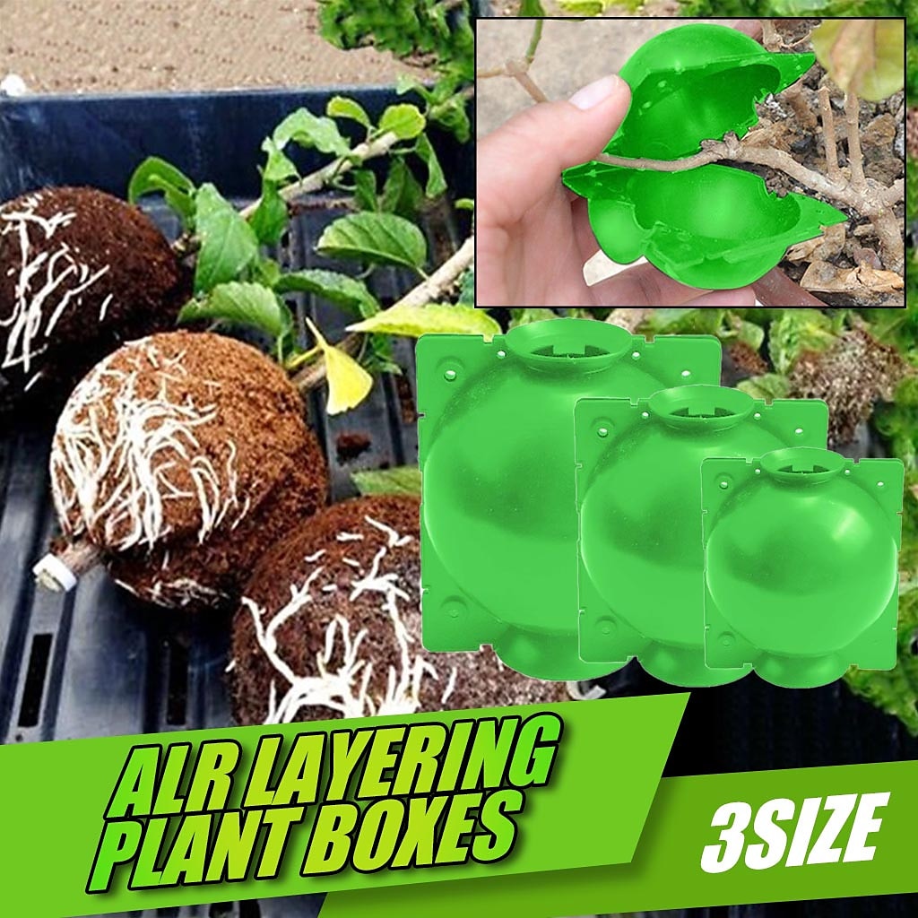 5pcs Reusable Plant Rooting Device Plant Rooting Grow Box High Pressure Propagation Ball Grafting Device Botany Root Controller Garden Plant Rooter Box For Rose Tree Fruit Bush Magnolia 2025 - $6.99 –P1