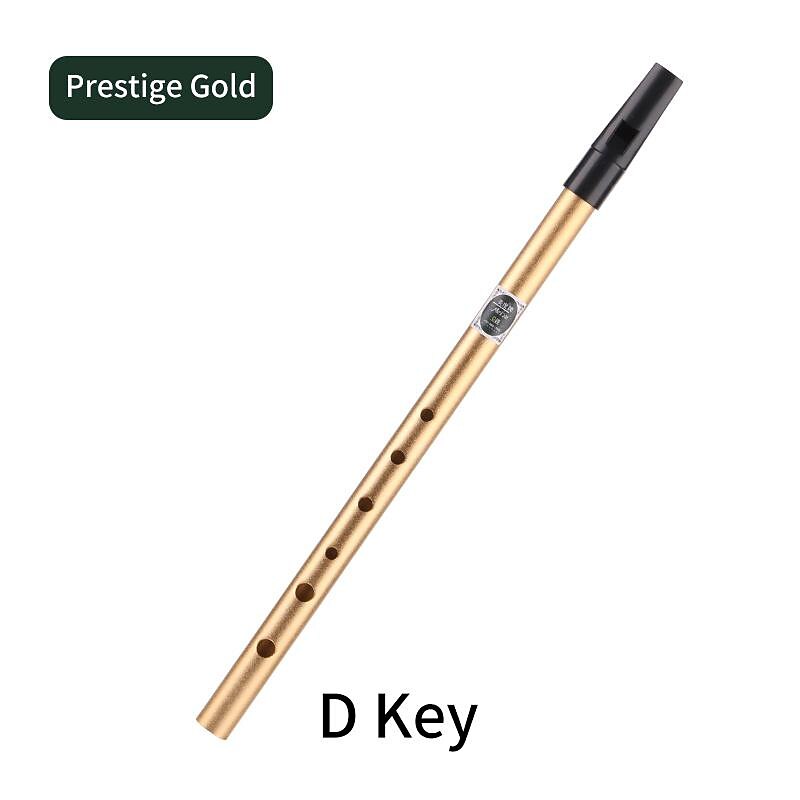 Irish Whistle Flute C/D Key Ireland Flute Tin Penny Whistle 6 Hole Flute Musical Instrument 2026 - $18.99 –P12