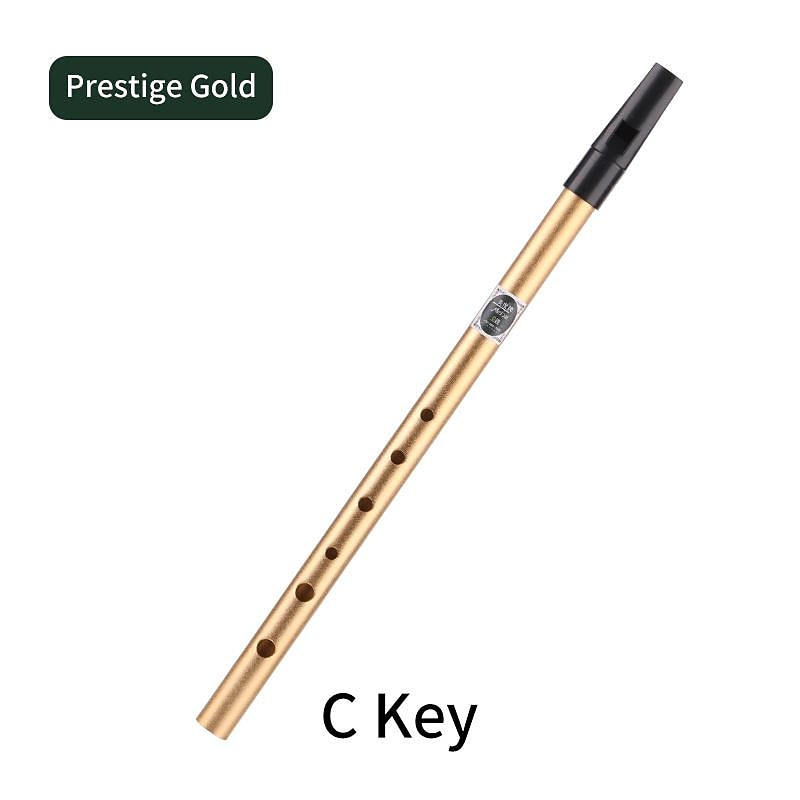 Irish Whistle Flute C/D Key Ireland Flute Tin Penny Whistle 6 Hole Flute Musical Instrument 2026 - $18.99 –P9