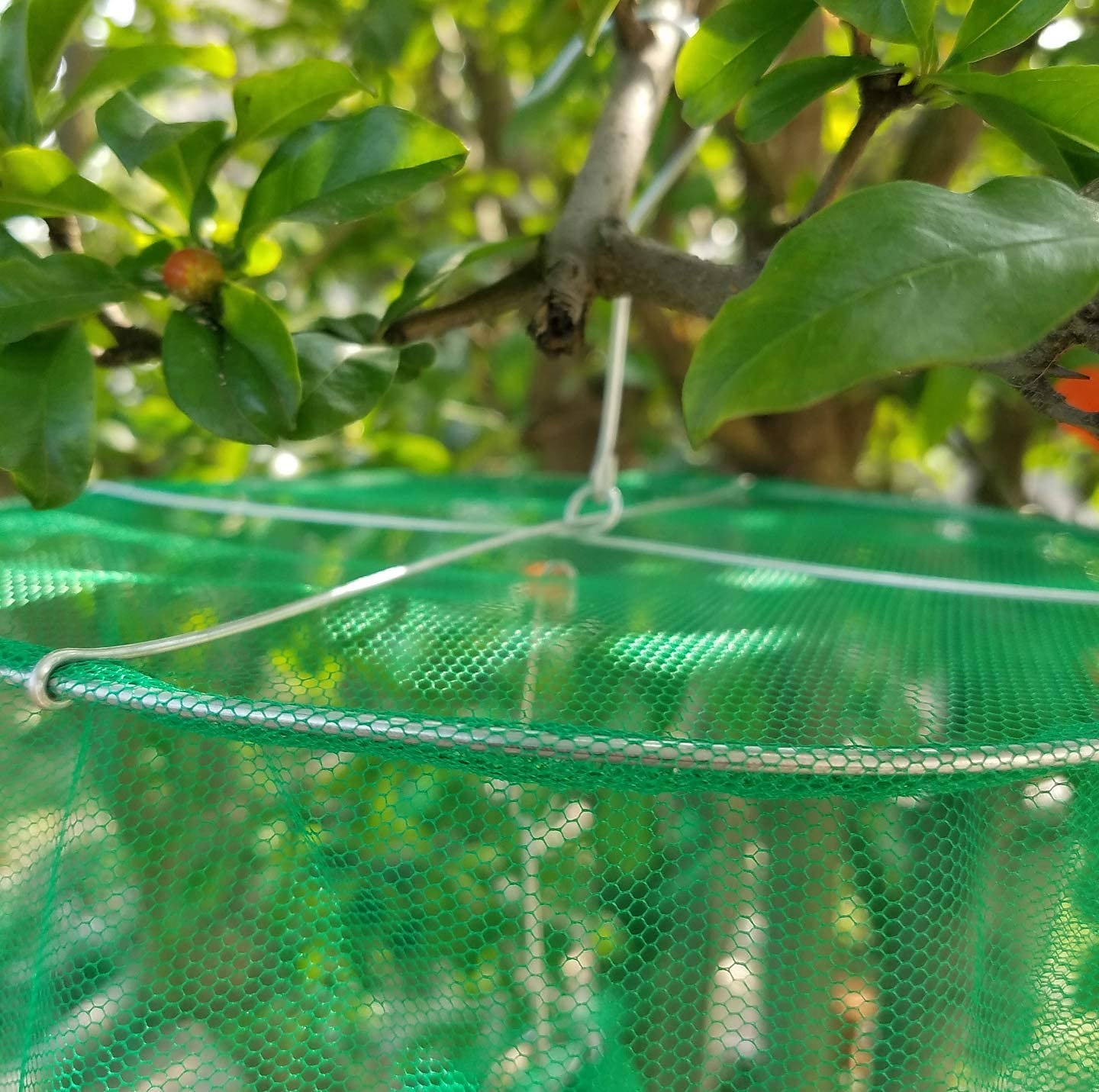 trappole per mosche all'aperto, trappola per mosche da ranch: la trappola più efficace mai realizzata per mosche/zanzare/api del 2025 a $5.49 –P12