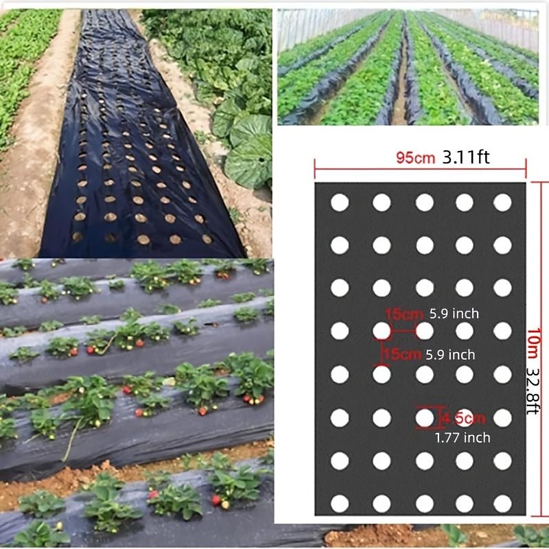 film plastique avec trous de plantation, film barrière anti-mauvaises herbes de jardin paillage respirant jardinage agriculture paysage bâche pour le maintien de la température de l'humidité de 2025 ? $10.49 –P1