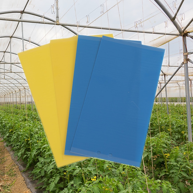 20st fruktflugfälla klibbmaskbräda växthus gul bräda dubbelsidig liten svart flugfälla gul och blå fällbräda jordbrukshushållstrips 20*15cm 2025 - $8.99 –P7