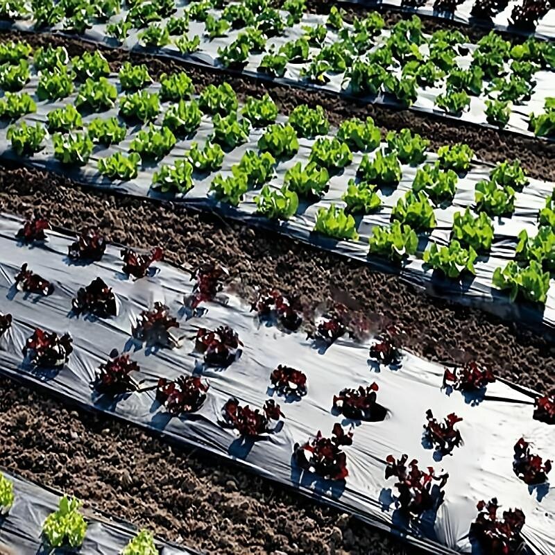 film plastique avec trous de plantation, film barrière anti-mauvaises herbes de jardin paillage respirant jardinage agriculture paysage bâche pour le maintien de la température de l'humidité de 2025 ? $10.49 –P2