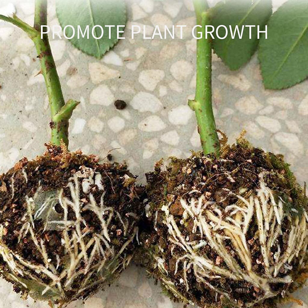 5pcs Reusable Plant Rooting Device Plant Rooting Grow Box High Pressure Propagation Ball Grafting Device Botany Root Controller Garden Plant Rooter Box For Rose Tree Fruit Bush Magnolia 2025 - $6.99 –P3