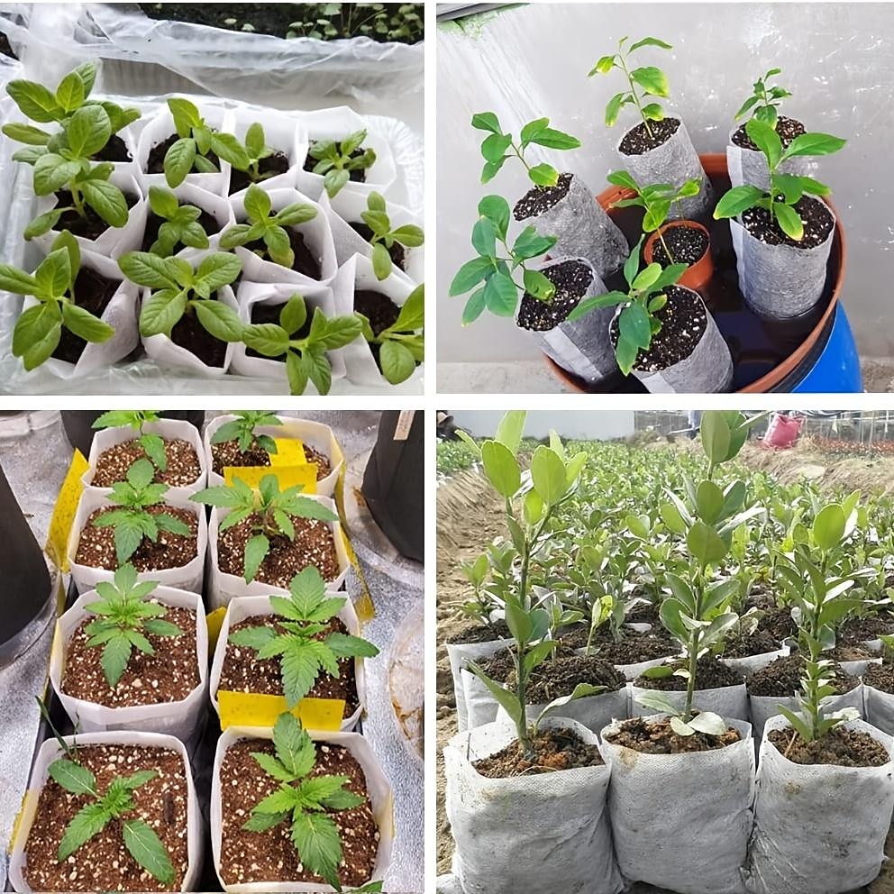100db faiskolai termesztő táska, nem szőtt palántanevelési zsák a magas palánta túlélési arány érdekében, növényi zsákok ültetéshez, kerti vetőmag indító tasak 2025 - $8.99 –P8