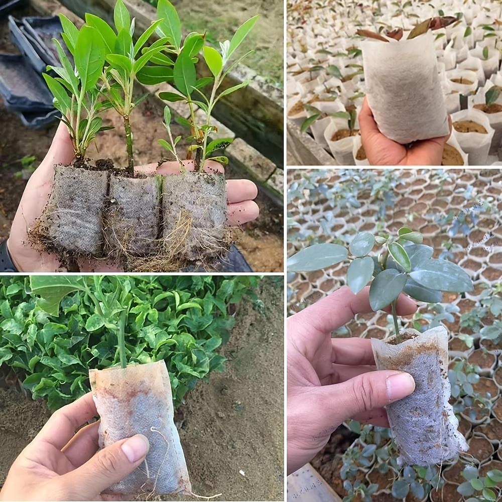 100db faiskolai termesztő táska, nem szőtt palántanevelési zsák a magas palánta túlélési arány érdekében, növényi zsákok ültetéshez, kerti vetőmag indító tasak 2025 - $8.99 –P9