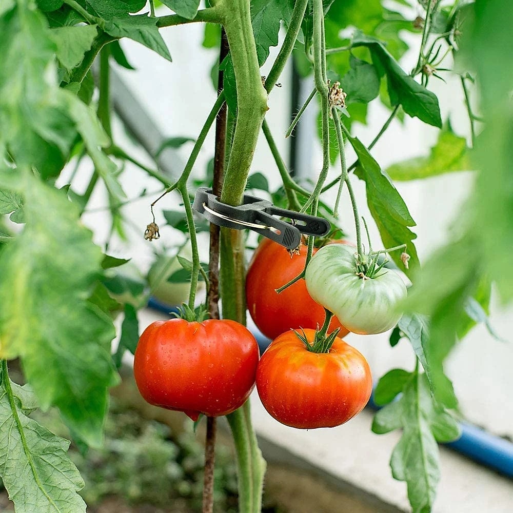 20 قطعة مقاطع دعم النبات زهرة و كرمة حديقة الطماطم مشابك دعم نباتات لدعم السيقان تنمو الكروم تستقيم التسلق 2026 - $10.49 –P5