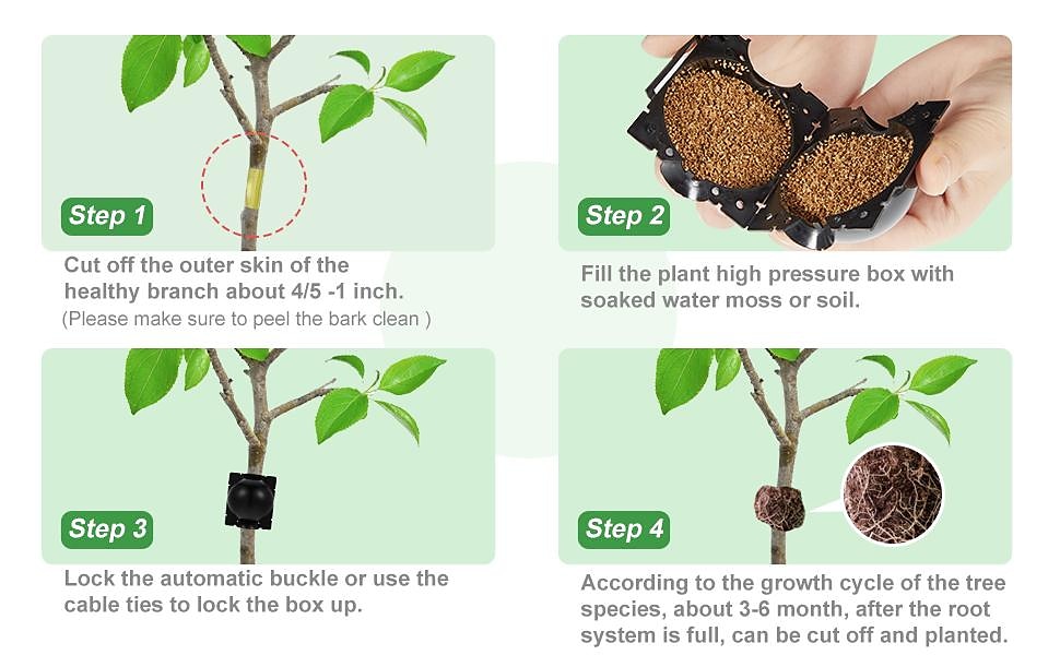 5pcs Reusable Plant Rooting Device Plant Rooting Grow Box High Pressure Propagation Ball Grafting Device Botany Root Controller Garden Plant Rooter Box For Rose Tree Fruit Bush Magnolia 2025 - $6.99 –P7