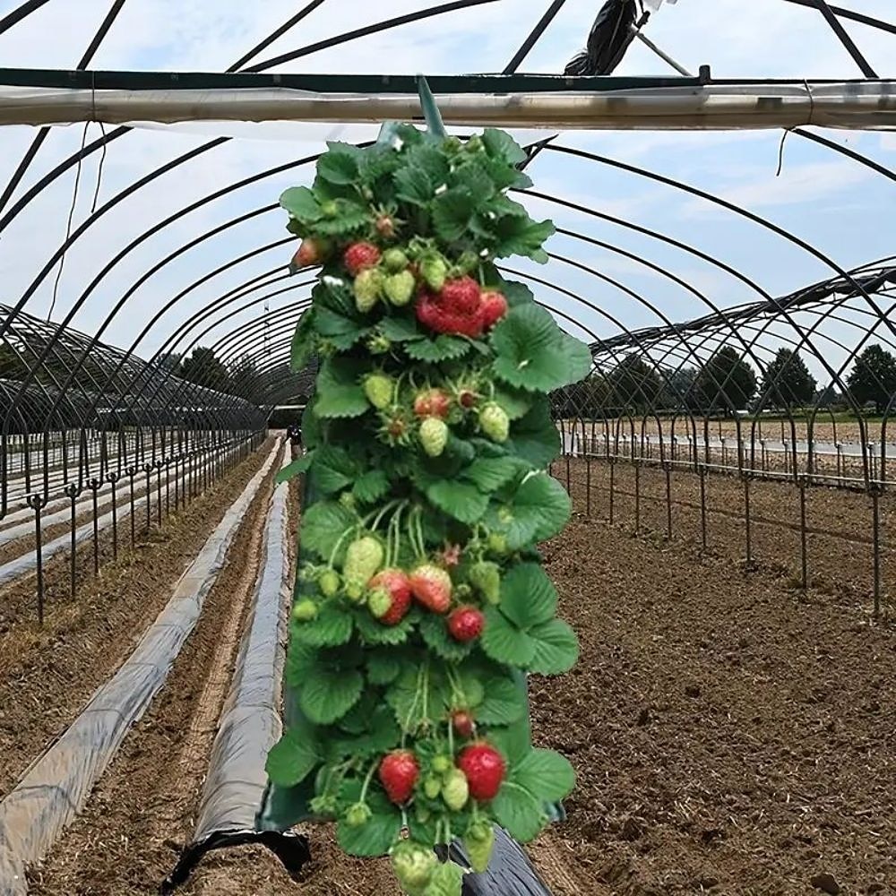 bolsa de cultivo de fresa colgante, bolsa de cultivo de fresa con 8 agujeros para tomate de fresa y pimiento bolsa de cultivo de tomate al revés, bolsa de cultivo de verduras, suministros de jardinería 2025 - $8.99 –P5