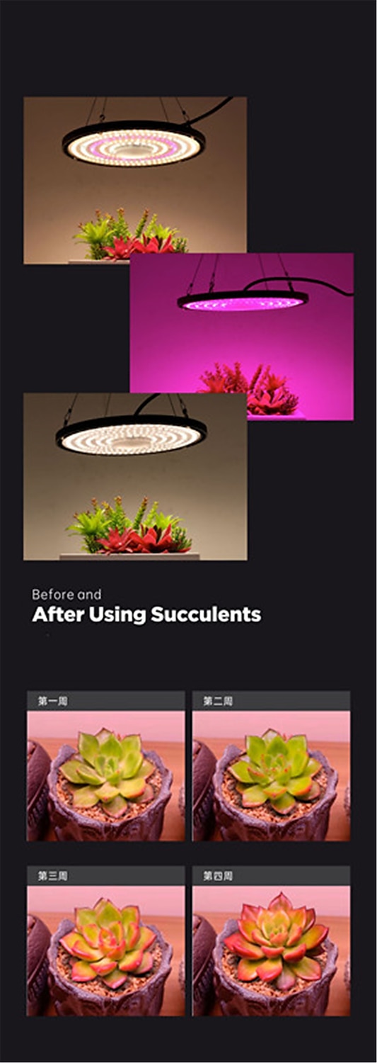 LED Grow Light Sunshine Full Spectrum Growth Light Indoor Phyto Lamp For Plants Flowers Grow Box EU/AU Plug AC220-265V 2025 - $34.99 –P6