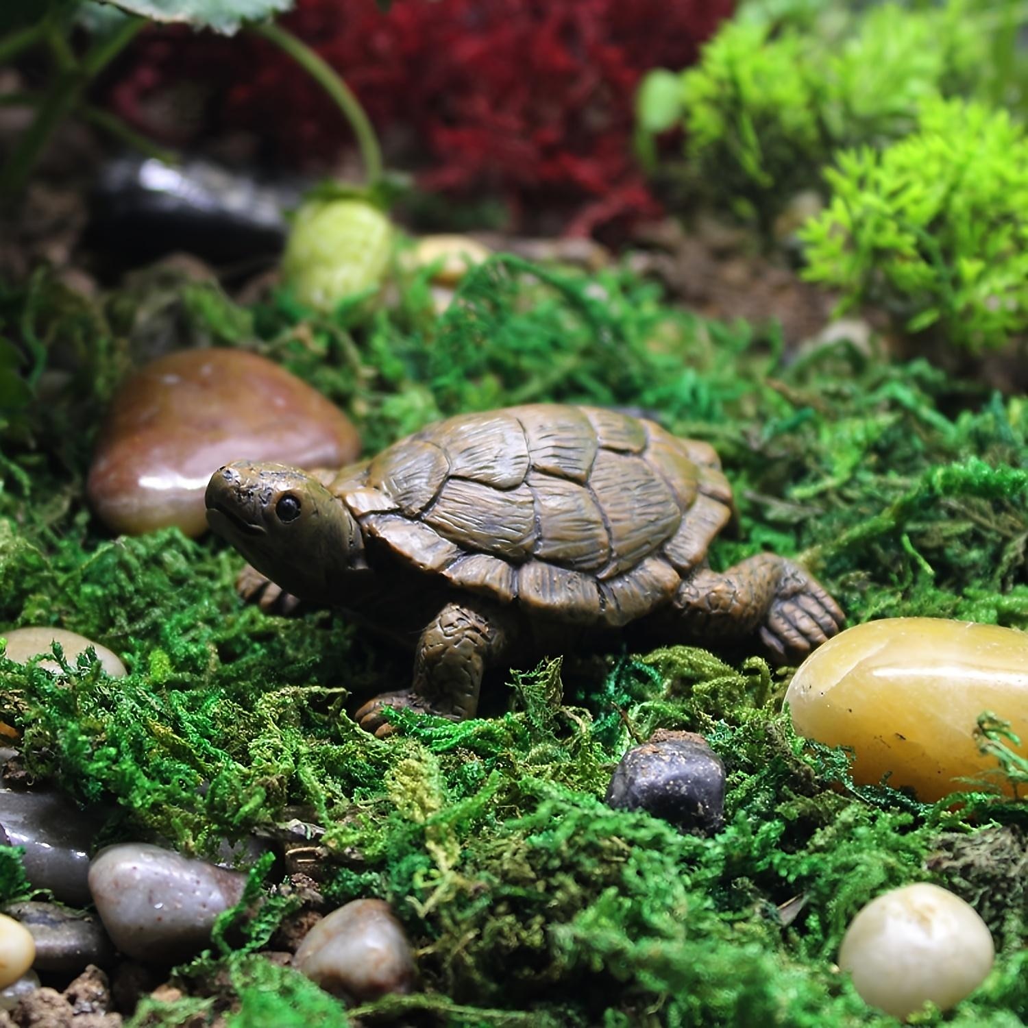 mini teknősök miniatűr figurák szimuláció kis teknős dísz valósághű tengeri teknősök gyanta aranyos tengerpart tengeri teknősök bonsai kézműves tündérkert zamatos virágtartó dekoráció 2025 - $5.49 –P5