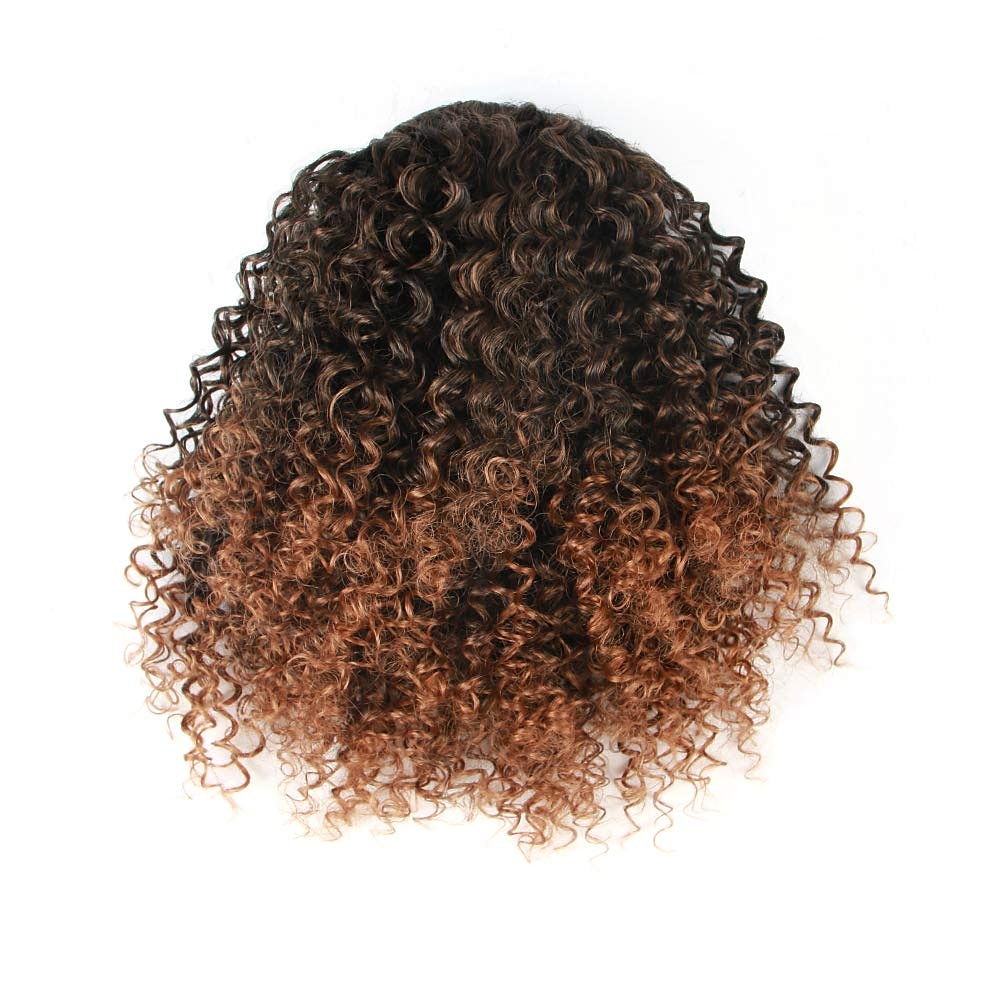 Krótki afro perwersyjne kręcone kucyk treska dla afroamerykanów przedłużanie kucyka syntetyczne afro perwersyjne kręcone kucyk dla kobiet 2025 - $21.99 -P15