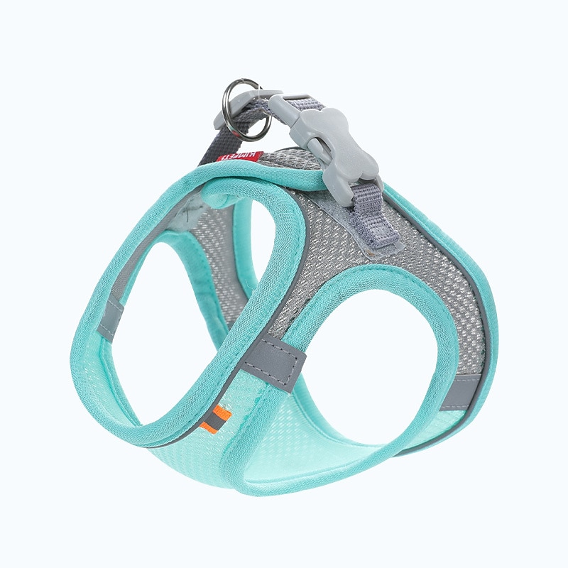 harnais pour animaux de compagnie & laisse protégez votre chat avec ce harnais de conception multicolore réfléchissant et respirant pour chat de 2025 ? $18.49 –P5