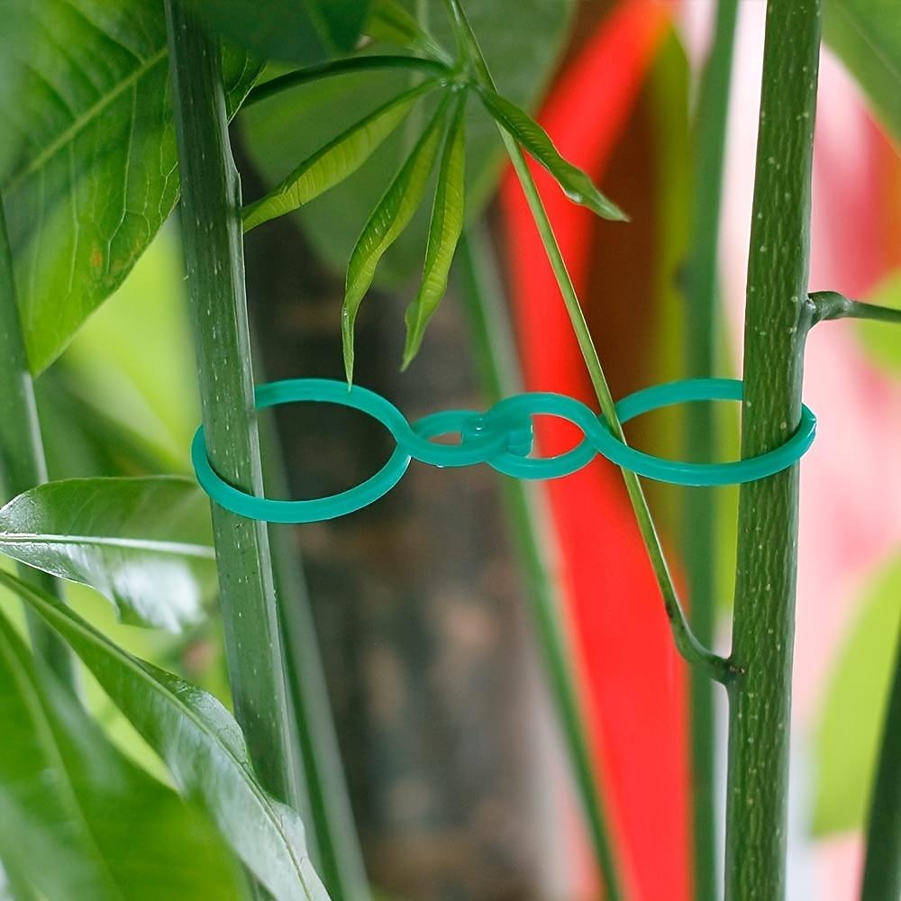 porta piante da giardino, 100 pezzi di clip per fiori di vite di pomodoro, clip per piante, clip di supporto per piante da giardino, clip per piante e clip da giardino per altre piante rampicanti, per del 2026 a $10.49 –P7