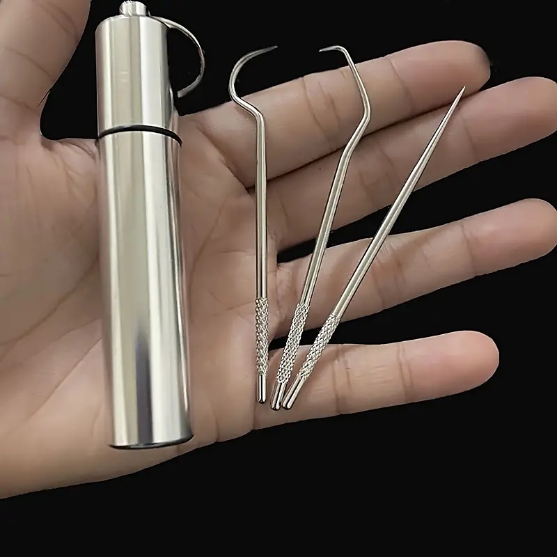 stuzzicadenti in acciaio inossidabile set tascabile filo interdentale portatile stuzzicadenti riutilizzabili in metallo kit per la pulizia dei denti con portachiavi per picnic all'aperto campeggio in del 2025 a $6.99 –P6