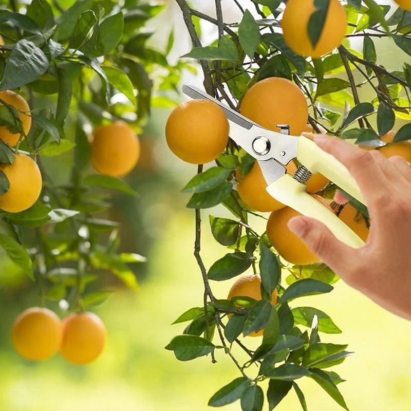 Pruning Garden Scissors Professional Garden Trimmer Orchard Scissors Hand Tools Bonsai Gardening Chopper Pruning Scissors 2025 - $8.49 –P7