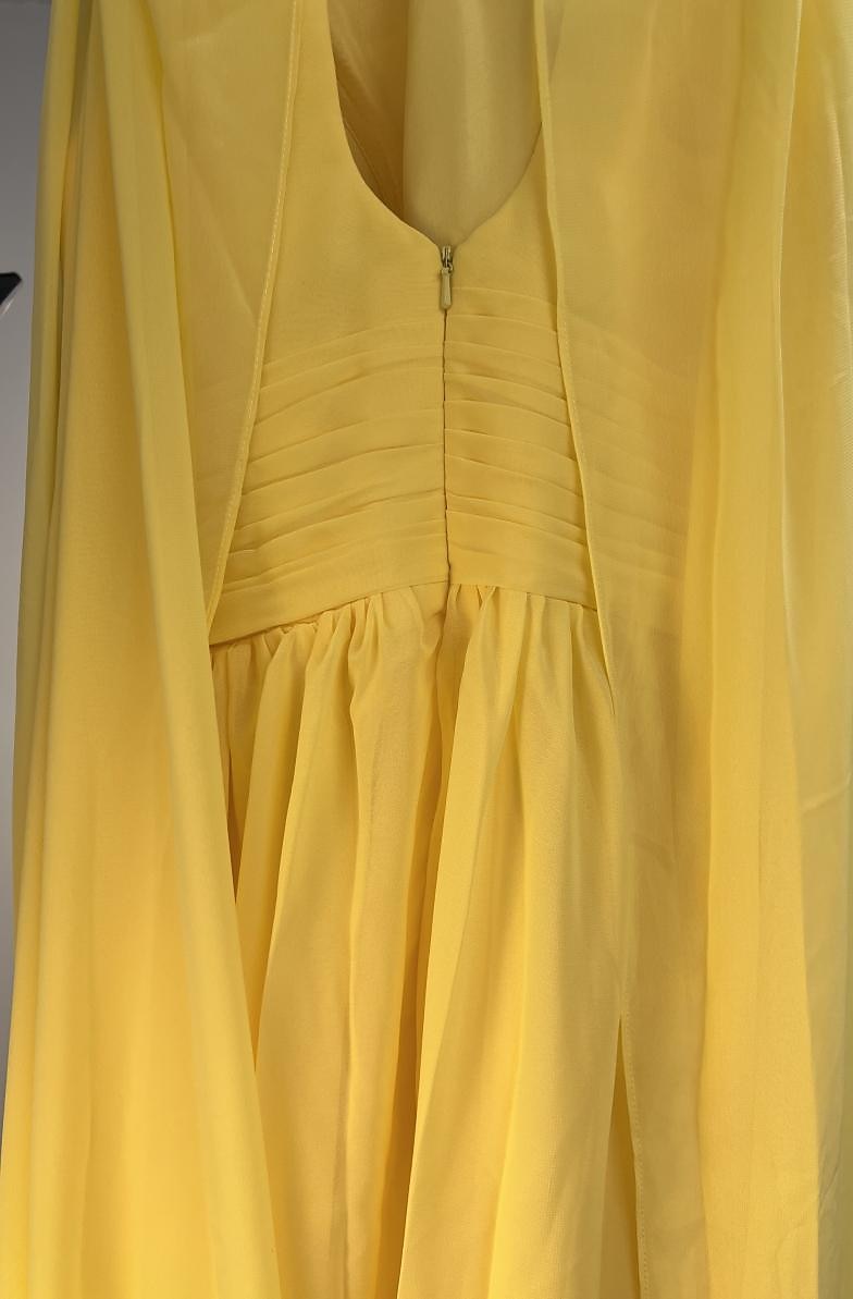 Robe de soirée A-Line plage élégante robe invité de mariage longueur sol sans manches haut capes en tulle avec froncé 2025 de 2025 ? $141.99 –P1
