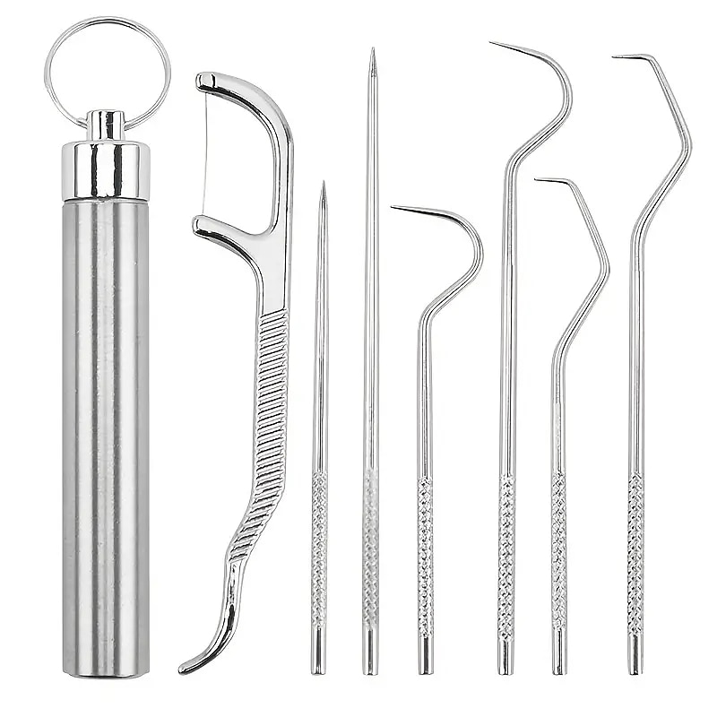 stuzzicadenti in acciaio inossidabile set tascabile filo interdentale portatile stuzzicadenti riutilizzabili in metallo kit per la pulizia dei denti con portachiavi per picnic all'aperto campeggio in del 2025 a $6.99 –P8