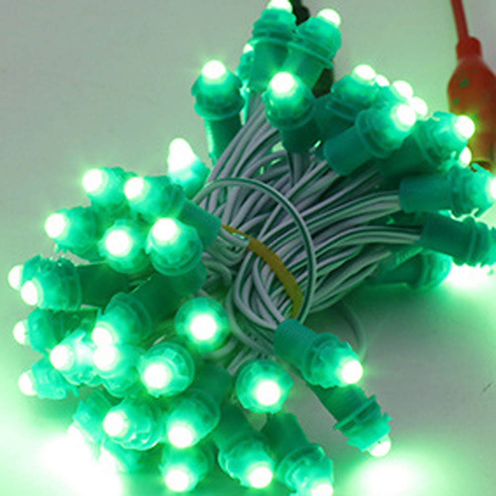 6M 100LED Led Pixel Bullet Nodes String Lights Christmas DC12V 9MM Single Color Signboard Display Lamp 2025 - $23.99 –P4
