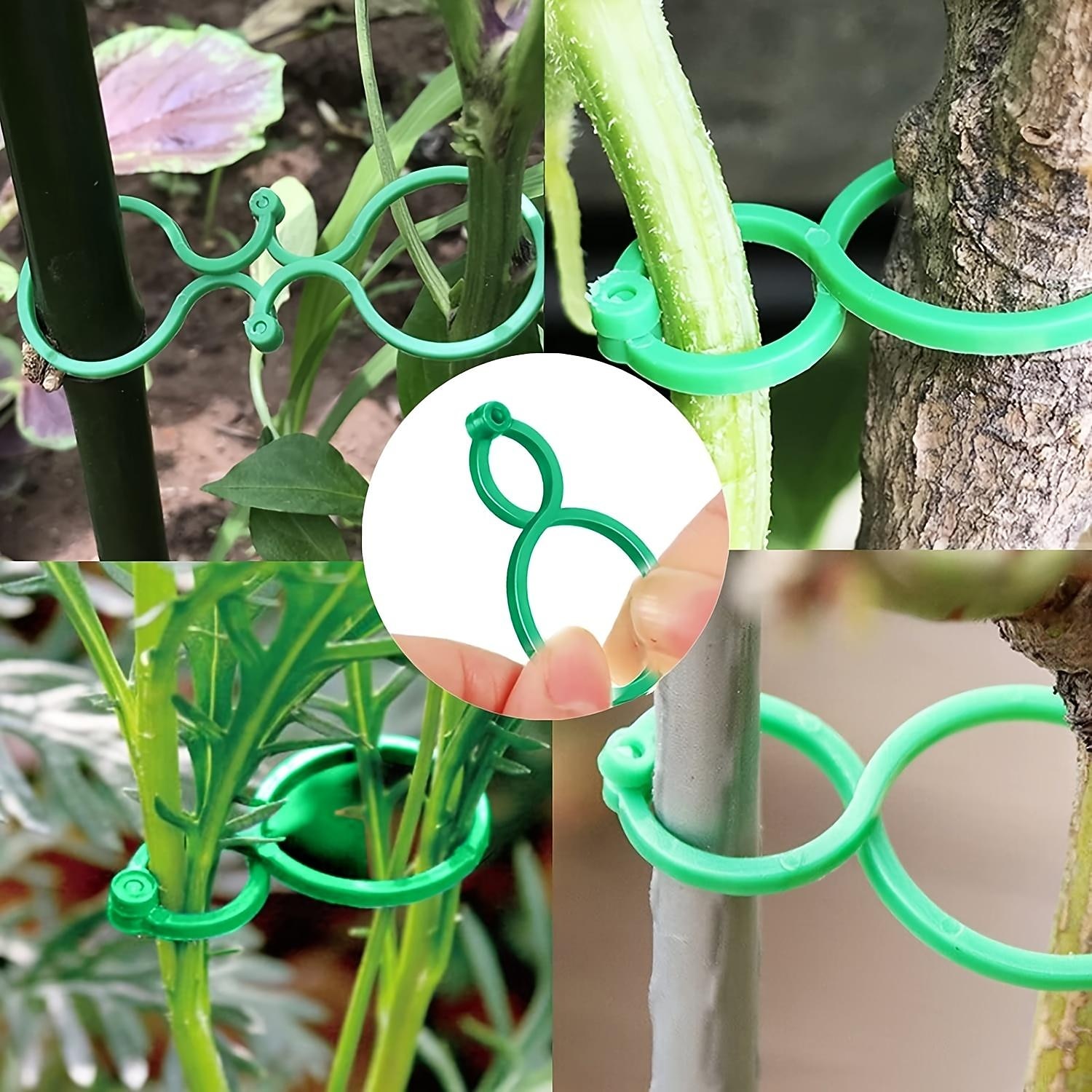 porta piante da giardino, 100 pezzi di clip per fiori di vite di pomodoro, clip per piante, clip di supporto per piante da giardino, clip per piante e clip da giardino per altre piante rampicanti, per del 2026 a $10.49 –P8