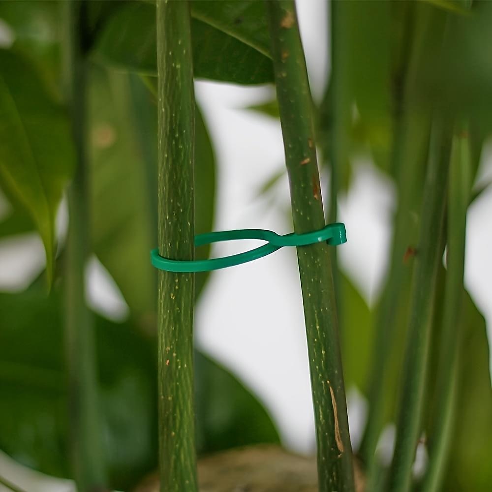 porta piante da giardino, 100 pezzi di clip per fiori di vite di pomodoro, clip per piante, clip di supporto per piante da giardino, clip per piante e clip da giardino per altre piante rampicanti, per del 2026 a $10.49 –P6