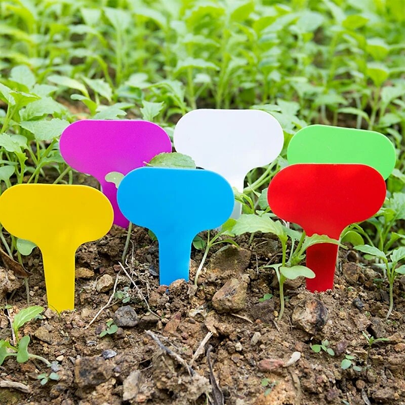 100pcs etichette da giardino classificazione delle piante smistamento segno tag biglietto plastica piastra di scrittura scheda plug-in carta colorata del 2025 a $10.49 –P4