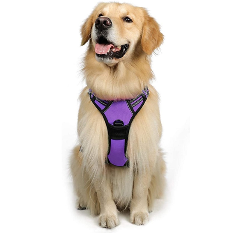Cachorros Animais Pequenos Peludos Arreios Portátil Durável Segurança Ao ar livre Caminhada Bloco de cor 1pç de 2025 por $39.99 –P3