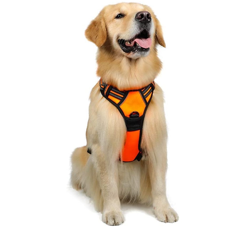Cachorros Animais Pequenos Peludos Arreios Portátil Durável Segurança Ao ar livre Caminhada Bloco de cor 1pç de 2025 por $39.99 –P8