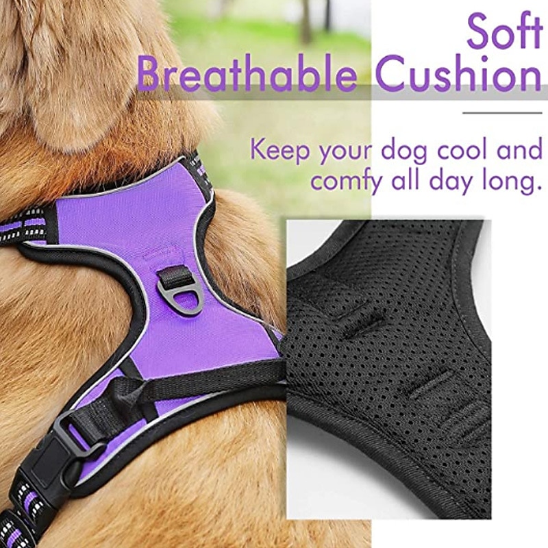 Pet Chest Strap Large Dog Vest Type Traction Rope Dog Chain 2026 - $39.99 –P3
