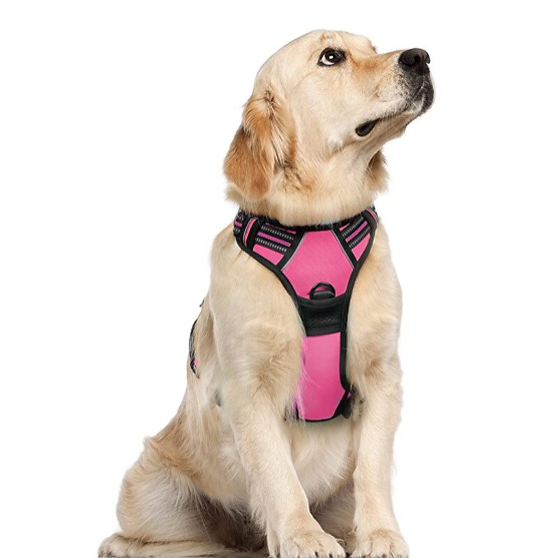 Cachorros Animais Pequenos Peludos Arreios Portátil Durável Segurança Ao ar livre Caminhada Bloco de cor 1pç de 2025 por $39.99 –P4