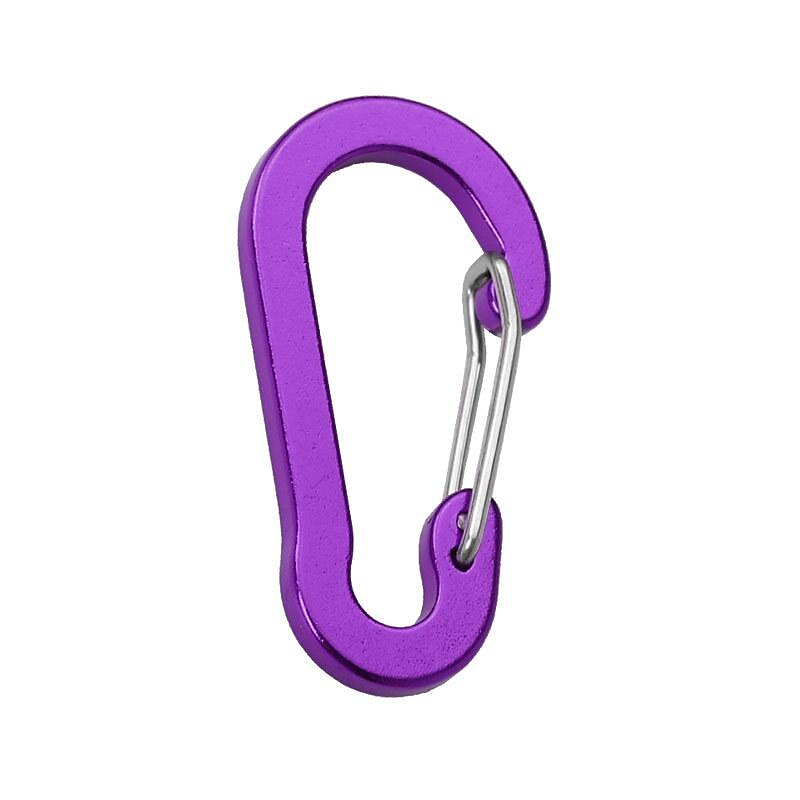 Steel Carabiner Clips, The Essential Outdoor Camping & Mountaineering Tool for Fishing & Climbing 2025 - $0.49 –P8